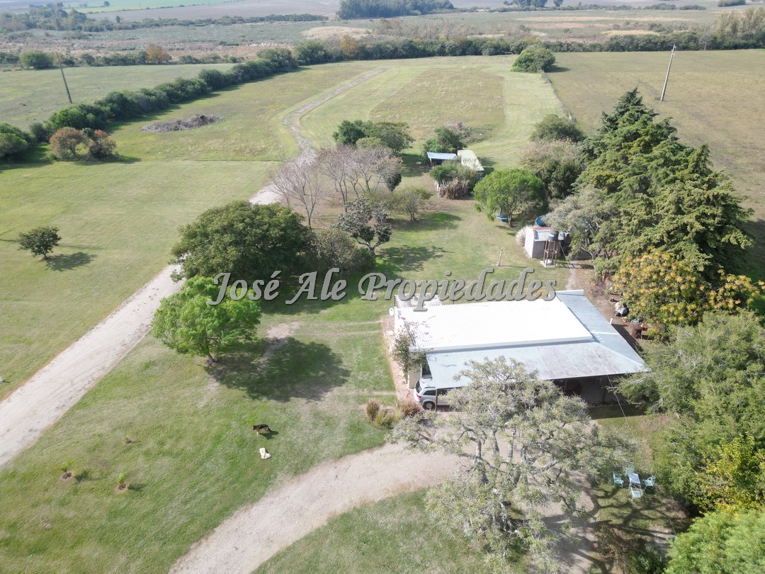 Imagen 7 de Chacras de 1 ha, ubicado por ruta 21. Se encuentra próximo a los servicios.