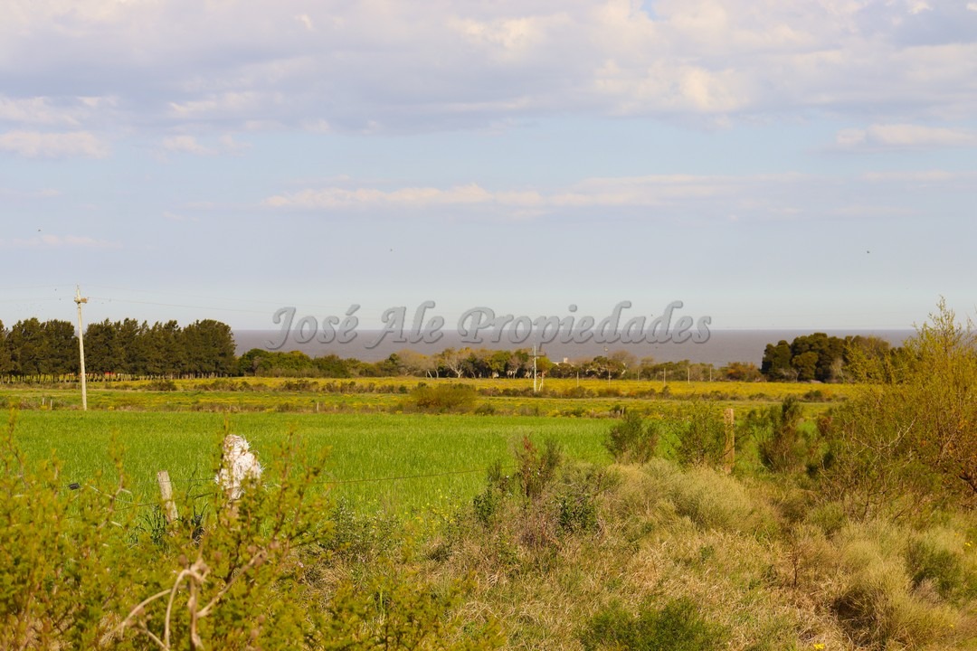 Imagen 10 de Hermosa chacra de 5 hectáreas en la mejor zona Matamora, se encuentra cercano a la playa, con vista al rio desde todo el predio.