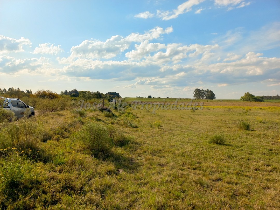 Imagen 2 de Hermosa chacra de 5 hectáreas en la mejor zona Matamora, se encuentra cercano a la playa, con vista al rio desde todo el predio.