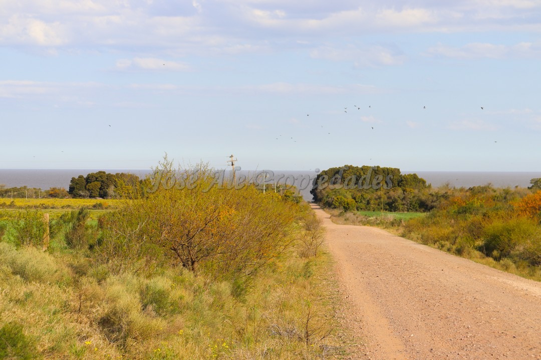 Imagen 4 de Hermosa chacra de 5 hectáreas en la mejor zona Matamora, se encuentra cercano a la playa, con vista al rio desde todo el predio.