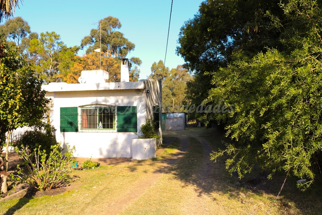 Imagen 8 de Chacra de 1 ha con bonita casa de amplios ambientes ubicada sobre el ingreso del Embarcadero de Riachuelo.