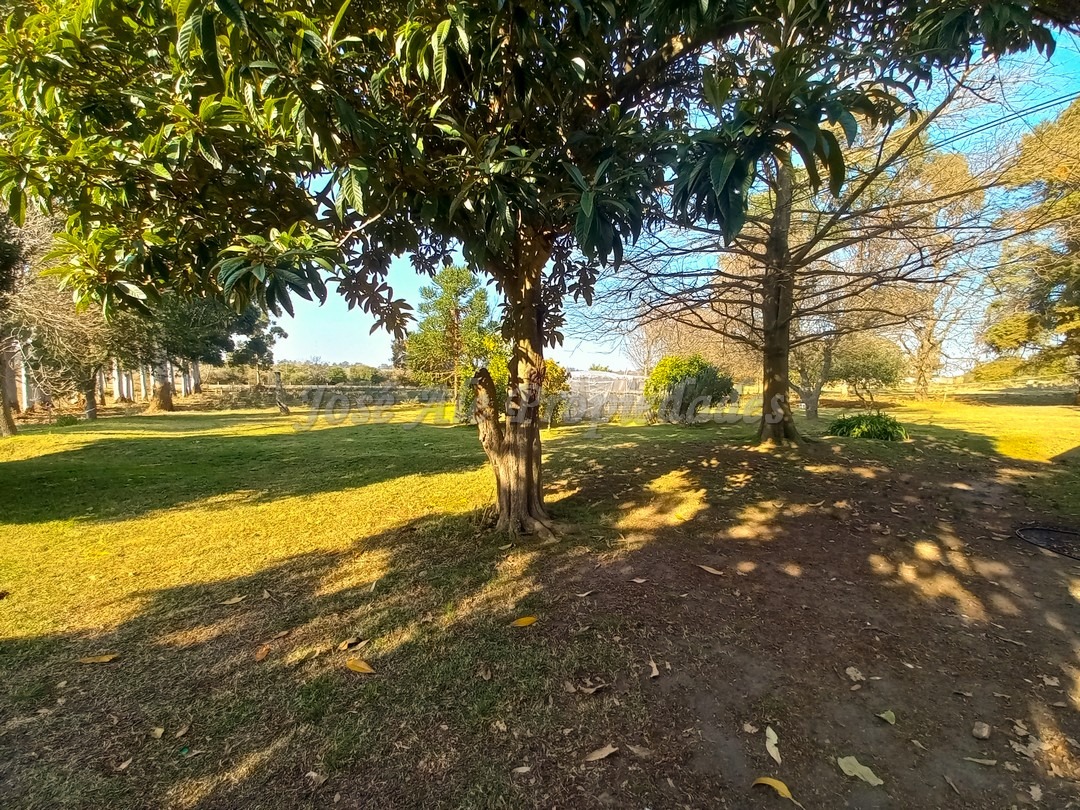 Imagen 9 de Chacra de 1 ha con bonita casa de amplios ambientes ubicada sobre el ingreso del Embarcadero de Riachuelo.