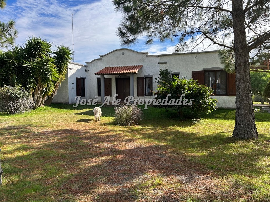 Imagen 1 de Chacra ubicada sobre Ruta 1 vieja a 15 minutos del centro de Colonia.