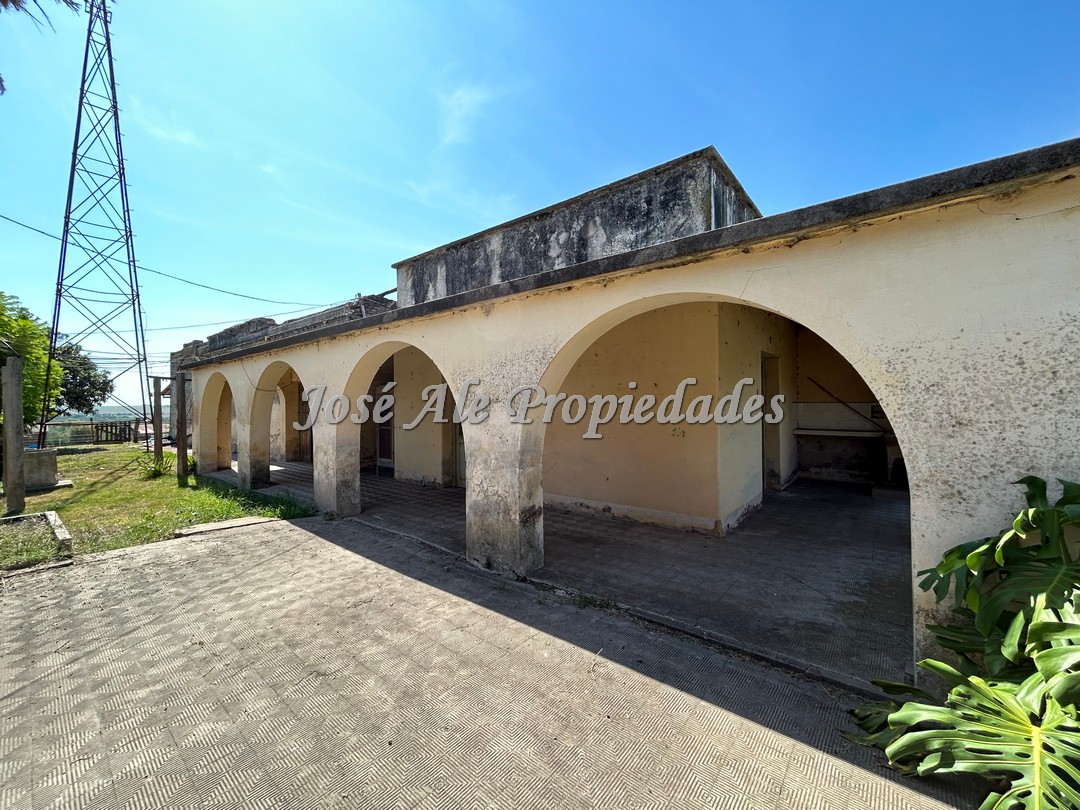 Imagen 2 de Campo agrícola de 187 HA ubicado a 23 km de la ciudad de Carmelo y a 15 km de la Ruta Nacional 21.