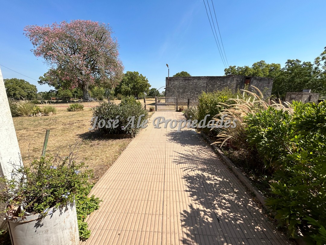 Imagen 8 de Campo agrícola de 187 HA ubicado a 23 km de la ciudad de Carmelo y a 15 km de la Ruta Nacional 21.