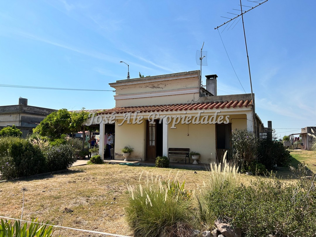 Imagen 9 de Campo agrícola de 187 HA ubicado a 23 km de la ciudad de Carmelo y a 15 km de la Ruta Nacional 21.