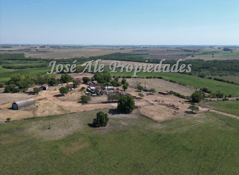 Campo agrícola de 187 HA ubicado a 23 km de la ciudad de Carmelo y a 15 km de la Ruta Nacional 21.