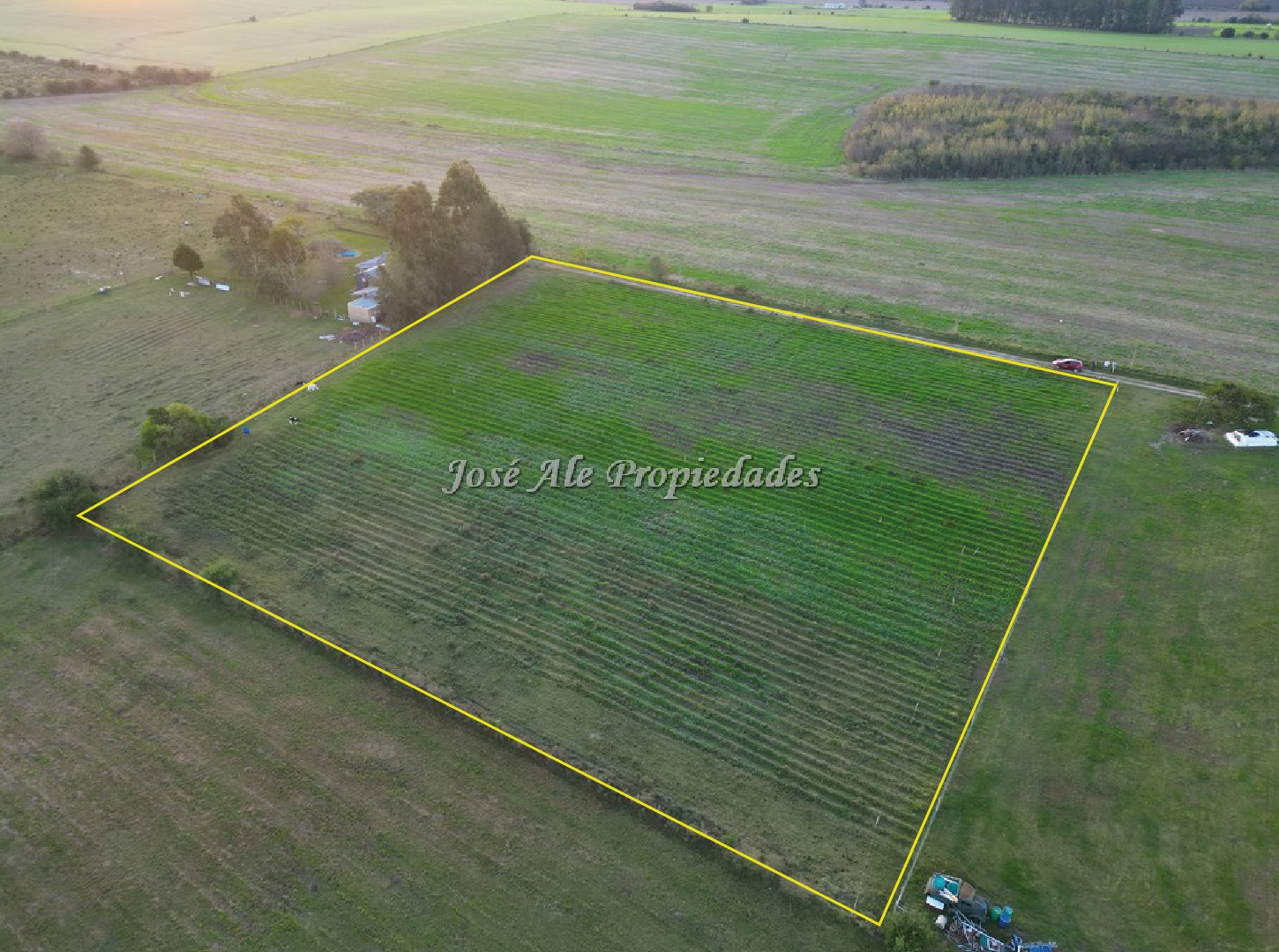 Imagen 5 de Chacra de 1 Ha por Ruta 21 a tan solo 4 km del supermercado El Dorado, Colonia del Sacramento.