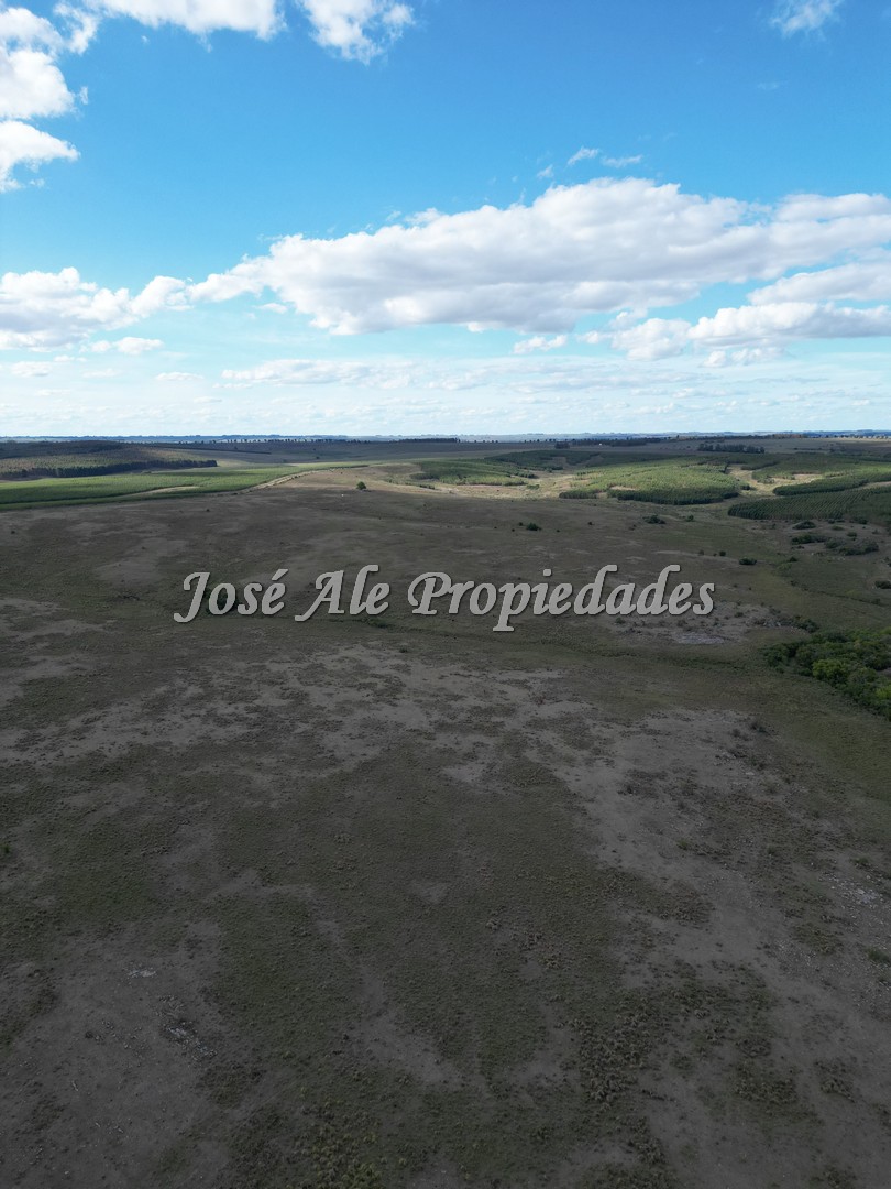 Imagen 1 de Campo en venta 663 HA en 2 padrones.