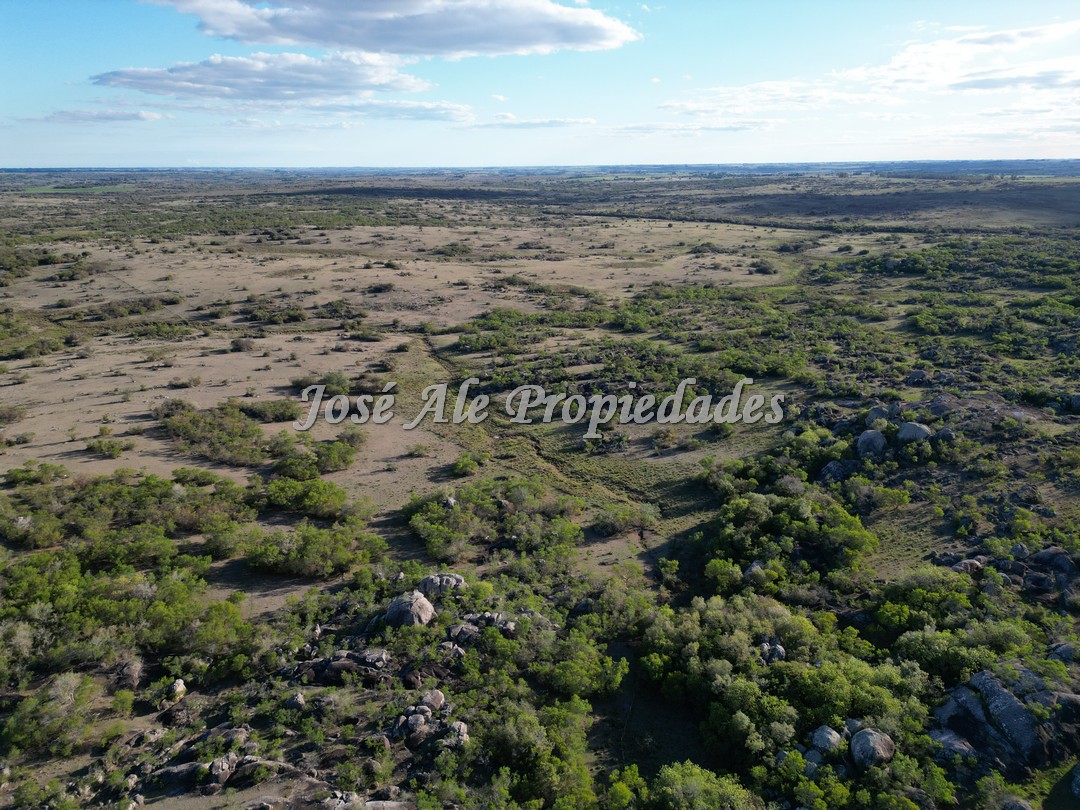 Imagen 2 de Campo en venta 663 HA en 2 padrones.