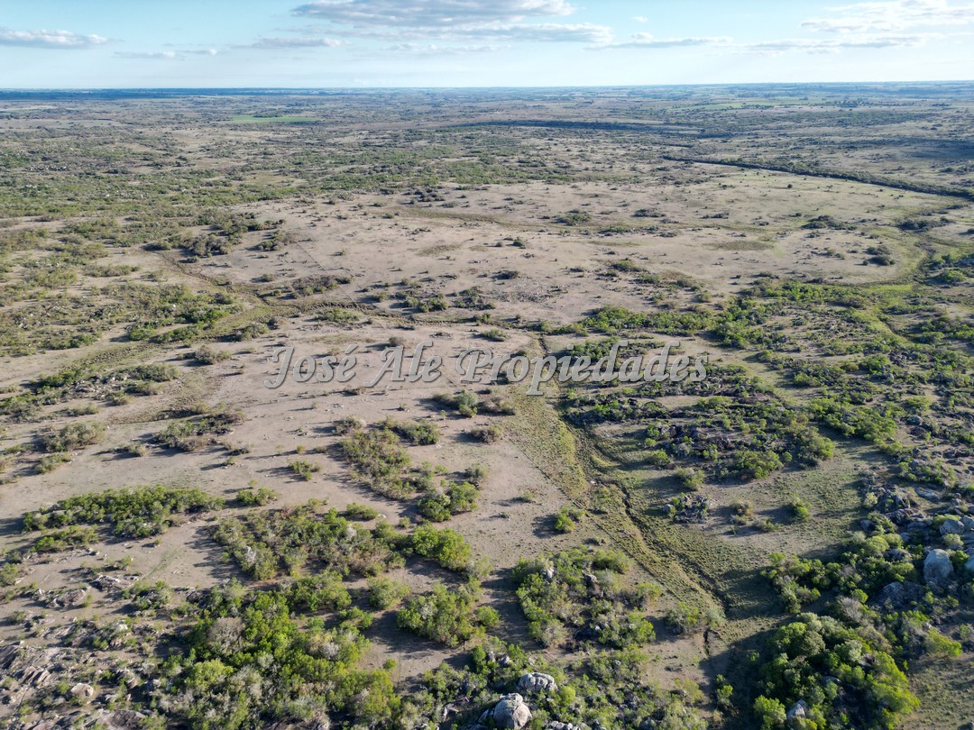 Imagen 3 de Campo en venta 663 HA en 2 padrones.