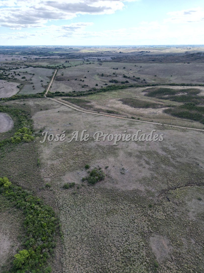 Imagen 8 de Campo en venta 663 HA en 2 padrones.