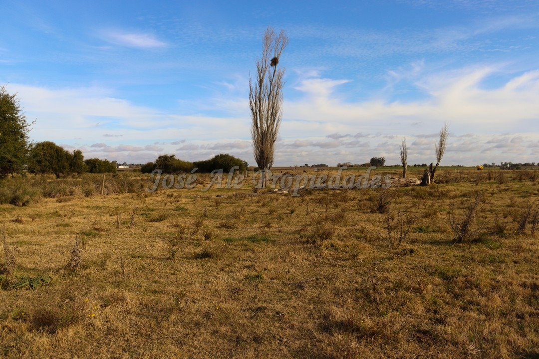 Imagen 1 de Hermosa parcela de 4 hectáreas ubicadas sobre ruta 55 a pocas cuadras de la ciudad de Ombúes de Lavalle.