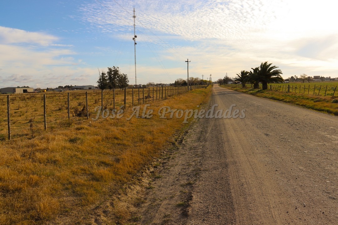 Imagen 2 de Hermosa parcela de 4 hectáreas ubicadas sobre ruta 55 a pocas cuadras de la ciudad de Ombúes de Lavalle.