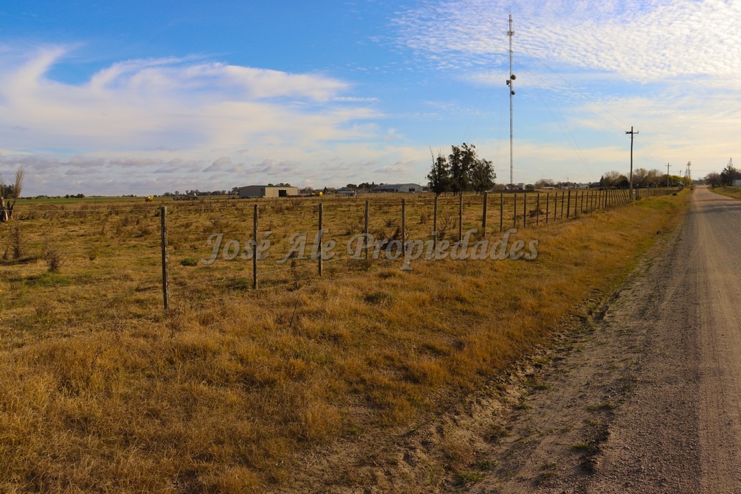 Imagen 3 de Hermosa parcela de 4 hectáreas ubicadas sobre ruta 55 a pocas cuadras de la ciudad de Ombúes de Lavalle.