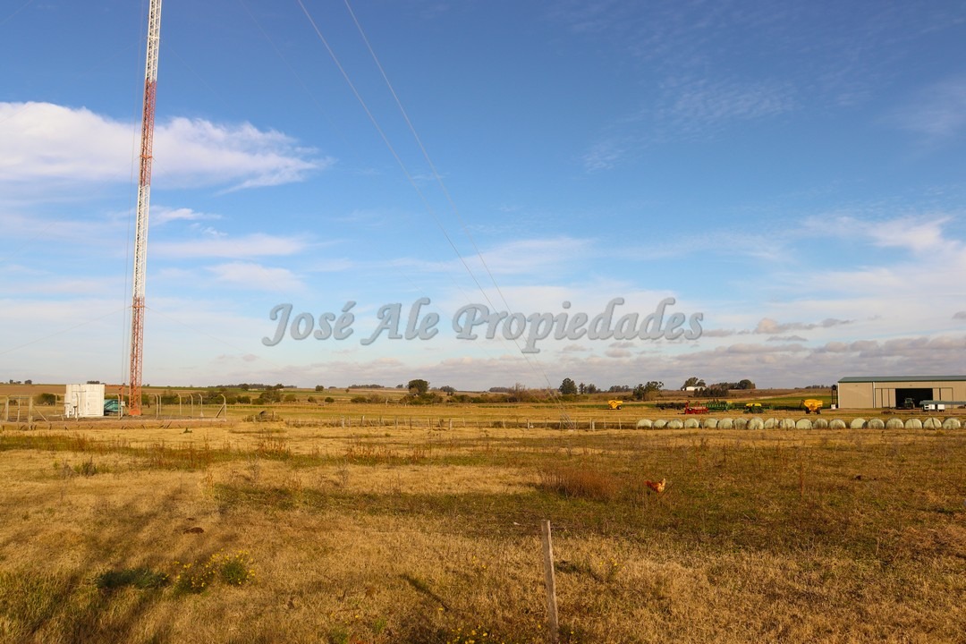 Imagen 6 de Hermosa parcela de 4 hectáreas ubicadas sobre ruta 55 a pocas cuadras de la ciudad de Ombúes de Lavalle.
