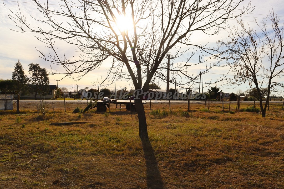 Imagen 7 de Hermosa parcela de 4 hectáreas ubicadas sobre ruta 55 a pocas cuadras de la ciudad de Ombúes de Lavalle.
