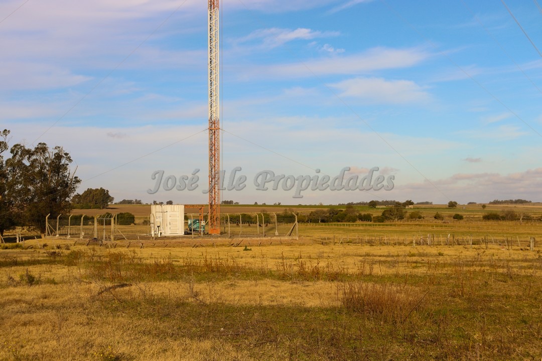 Imagen 8 de Hermosa parcela de 4 hectáreas ubicadas sobre ruta 55 a pocas cuadras de la ciudad de Ombúes de Lavalle.