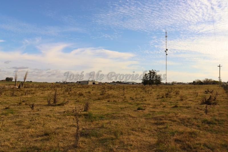 Hermosa parcela de 4 hectáreas ubicadas sobre ruta 55 a pocas cuadras de la ciudad de Ombúes de Lavalle.
