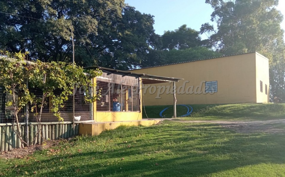 Imagen 1 de Extraordinaria propiedad a 4000 metros del centro de Colonia del Sacramento.