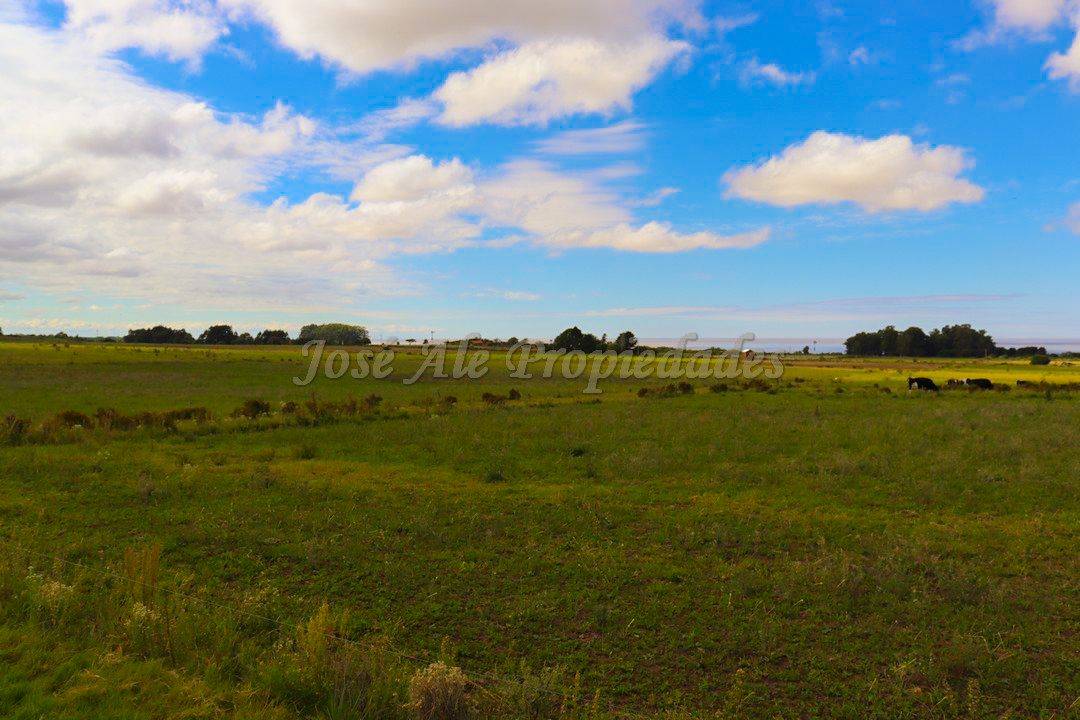 Imagen 1 de Hermosa parcela de 5 hectáreas un paraíso en la mejor zona.