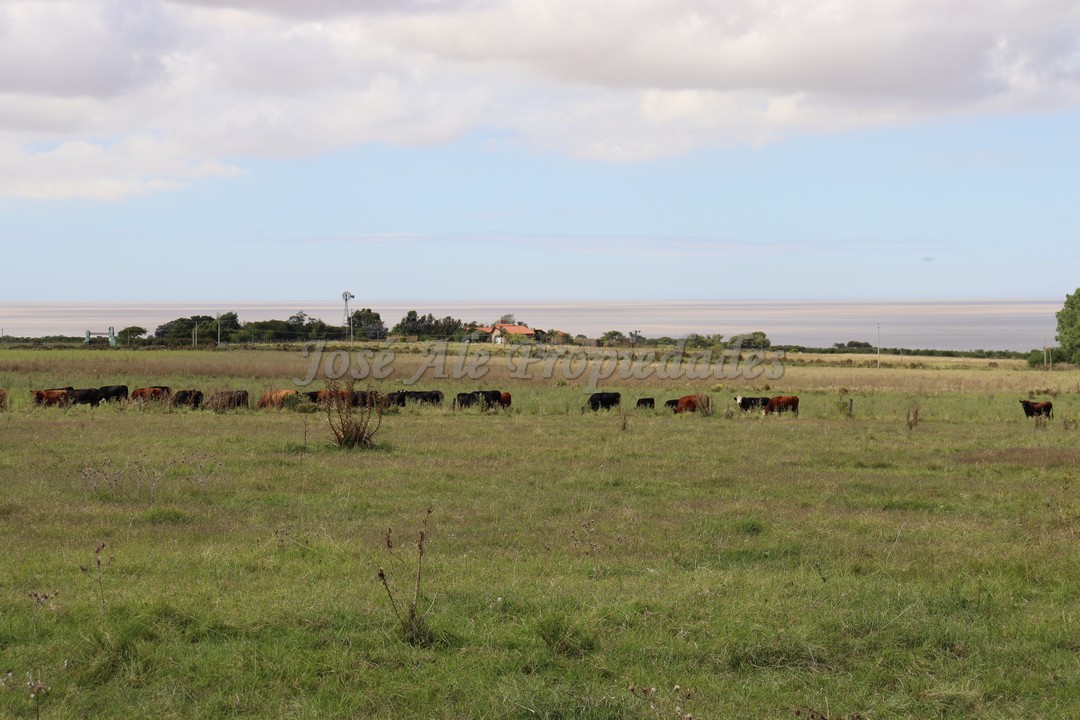 Imagen 10 de Hermosa parcela de 5 hectáreas un paraíso en la mejor zona.