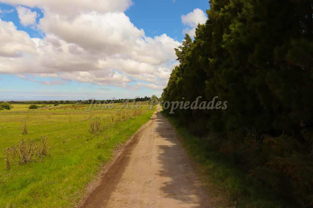 Imagen 2 de Hermosa parcela de 5 hectáreas un paraíso en la mejor zona.