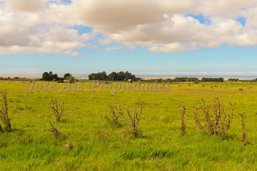 Imagen 4 de Hermosa parcela de 5 hectáreas un paraíso en la mejor zona.