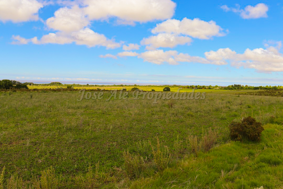 Imagen 6 de Hermosa parcela de 5 hectáreas un paraíso en la mejor zona.