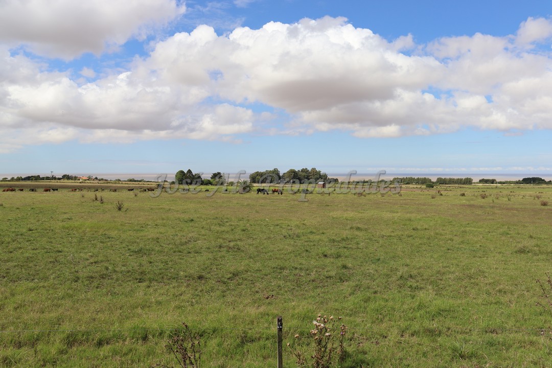 Imagen 8 de Hermosa parcela de 5 hectáreas un paraíso en la mejor zona.