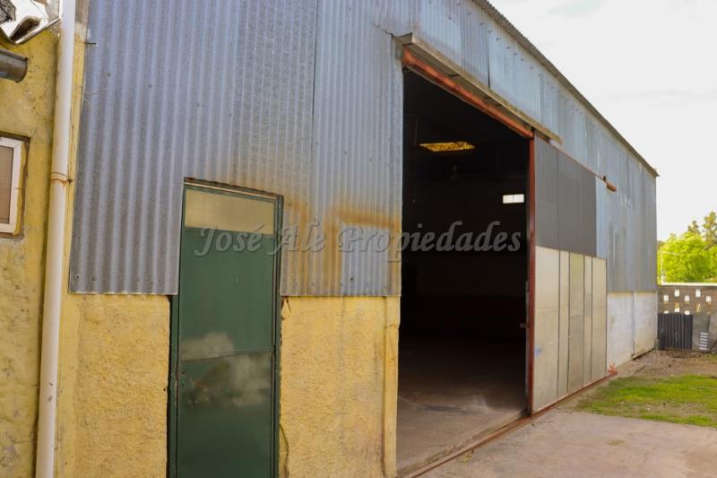 Amplio galpón de 100 m2 ubicado a pocas cuadras de la Rambla y próximo a todos los servicios de Colonia del Sacramento.