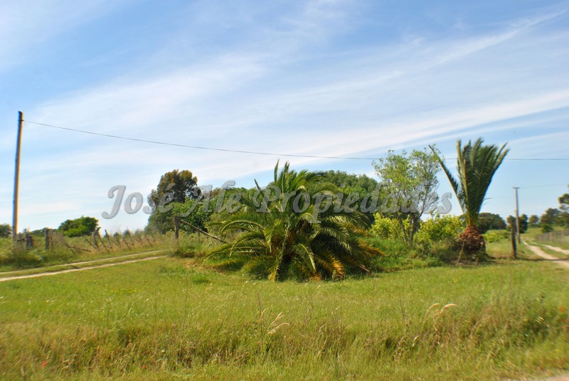 Imagen 10 de Hermosa y agradable chacra de 6.666 m2 ubicada en Laguna de los Patos.