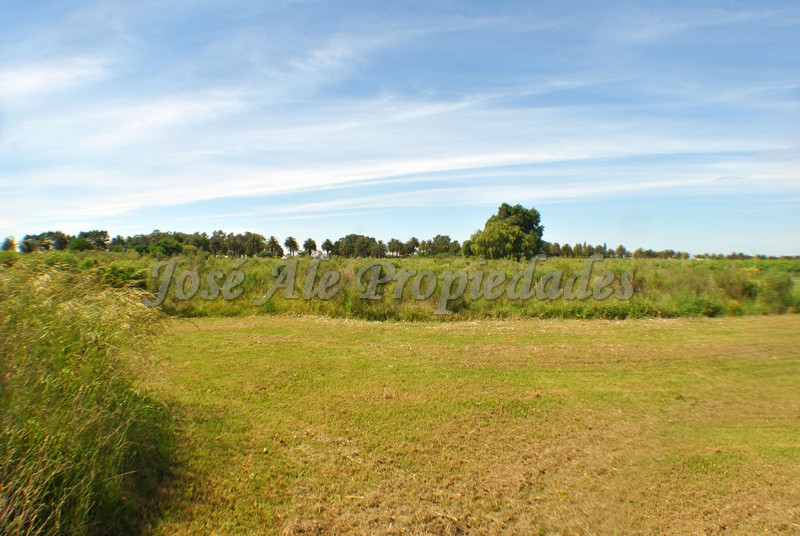 Imagen 4 de Hermosa y agradable chacra de 6.666 m2 ubicada en Laguna de los Patos.
