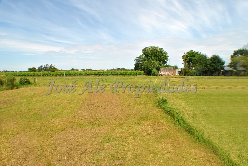 Imagen 5 de Hermosa y agradable chacra de 6.666 m2 ubicada en Laguna de los Patos.