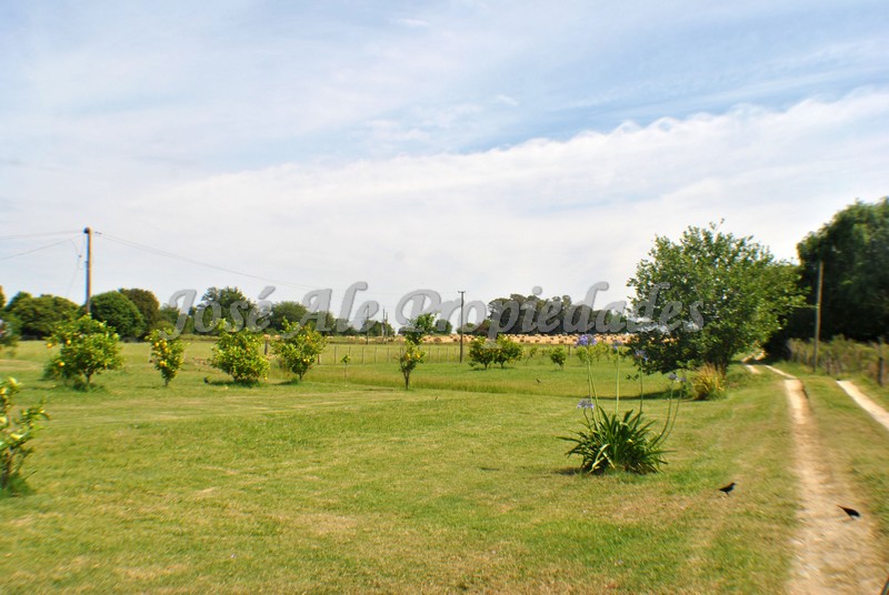 Imagen 6 de Hermosa y agradable chacra de 6.666 m2 ubicada en Laguna de los Patos.