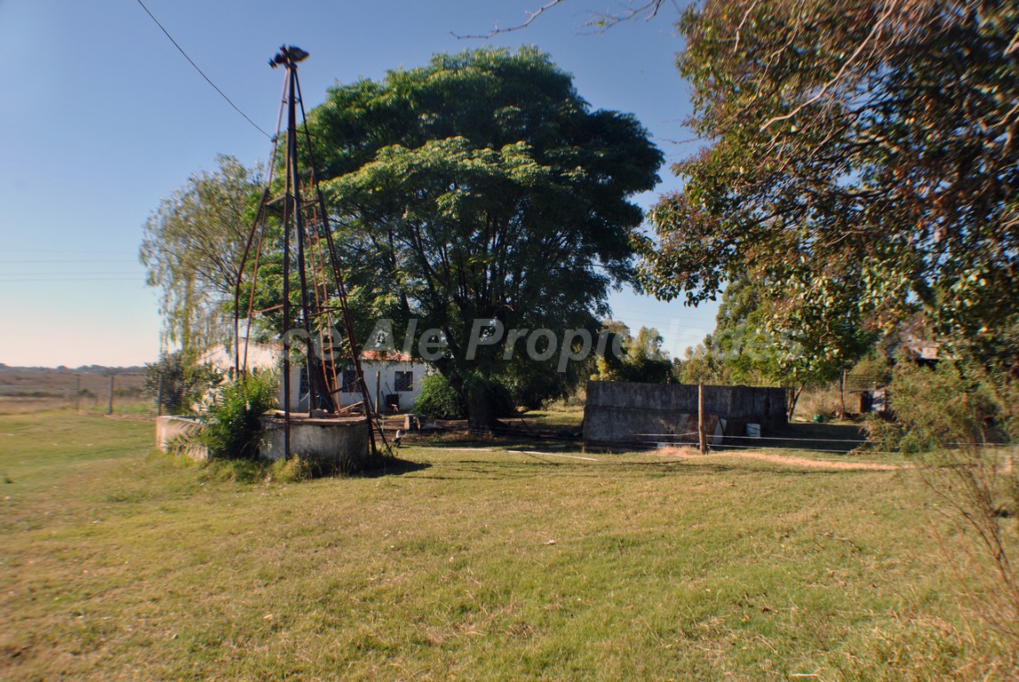 Imagen 10 de Se trata de 5 has a minutos del centro de Colonia, dispone de dos propiedades.