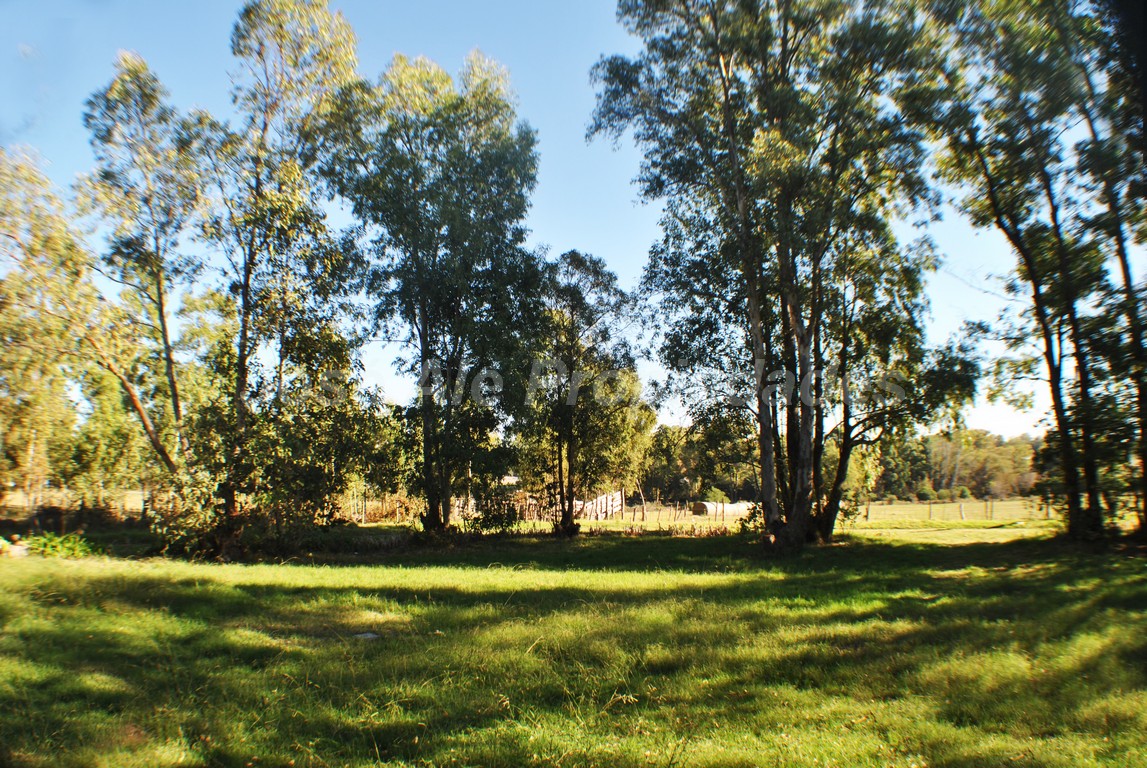 Imagen 2 de Se trata de 5 has a minutos del centro de Colonia, dispone de dos propiedades.