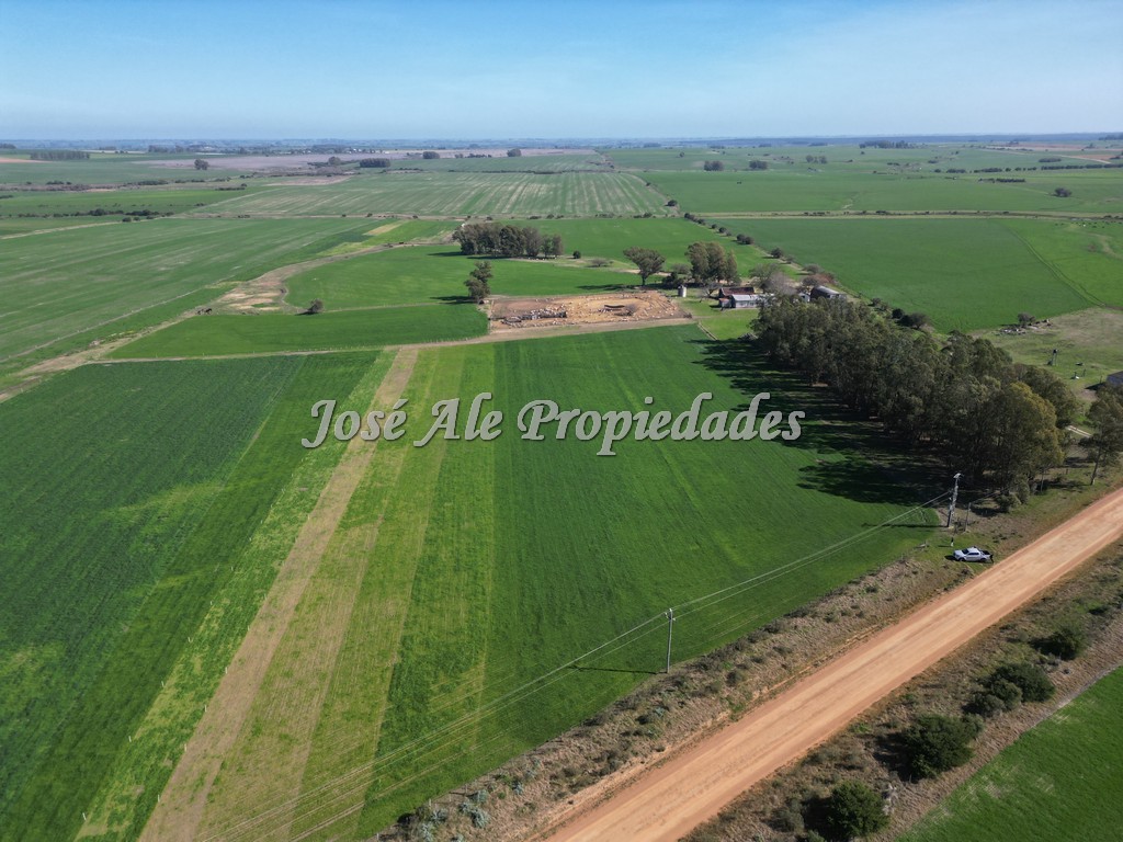 Imagen 1 de Excelente campo Agrícola.