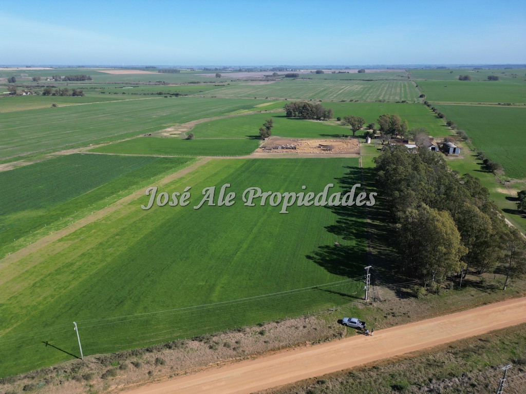 Imagen 2 de Excelente campo Agrícola.