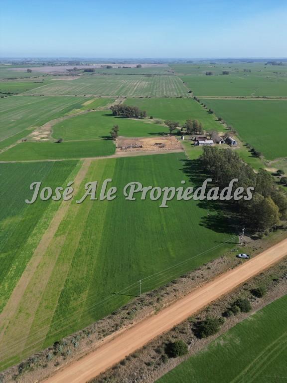 Excelente campo Agrícola.