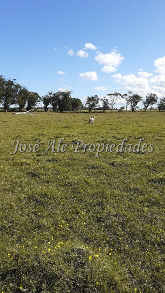 Imagen 1 de 2 destacados lotes de 691m2 c/u ubicados a tan solo 300m de la playa a 20min de la Pedrera, Rocha.