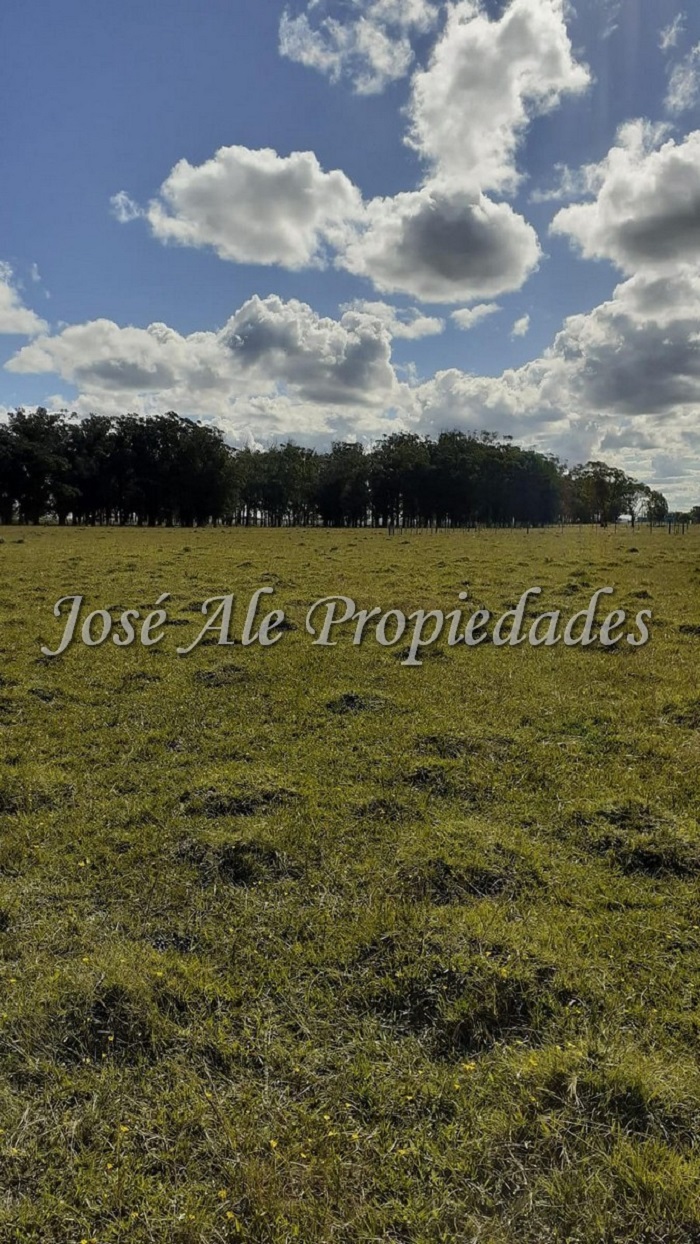 Imagen 2 de 2 destacados lotes de 691m2 c/u ubicados a tan solo 300m de la playa a 20min de la Pedrera, Rocha.