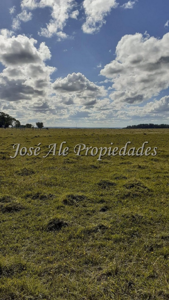 Imagen 3 de 2 destacados lotes de 691m2 c/u ubicados a tan solo 300m de la playa a 20min de la Pedrera, Rocha.