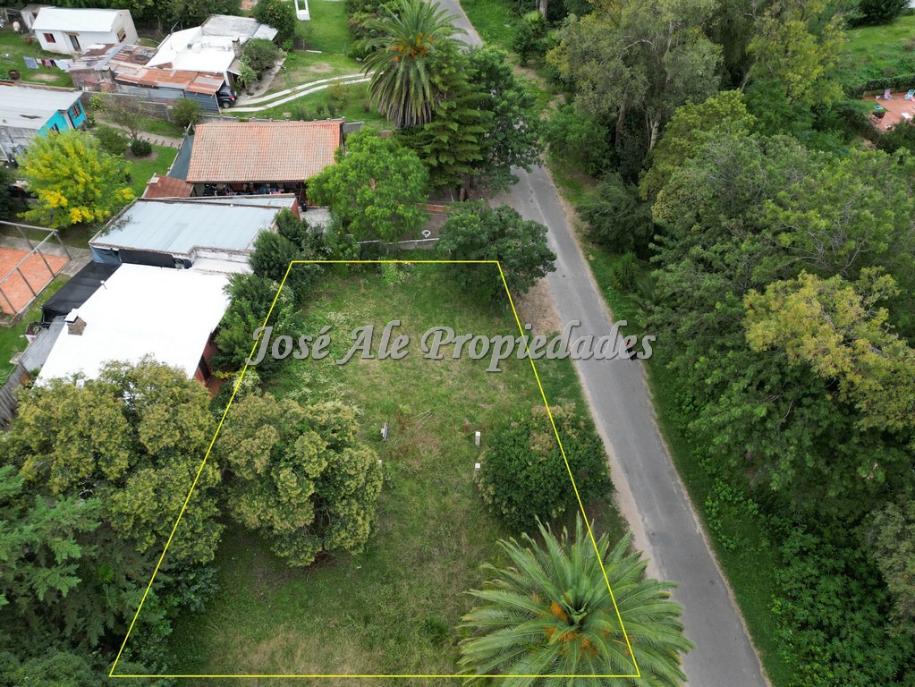 Imagen 3 de Terreno en esquina ubicado en un barrio muy tranquilo, rodeado de verdes y mucha naturaleza en Colonia del Sacramento.