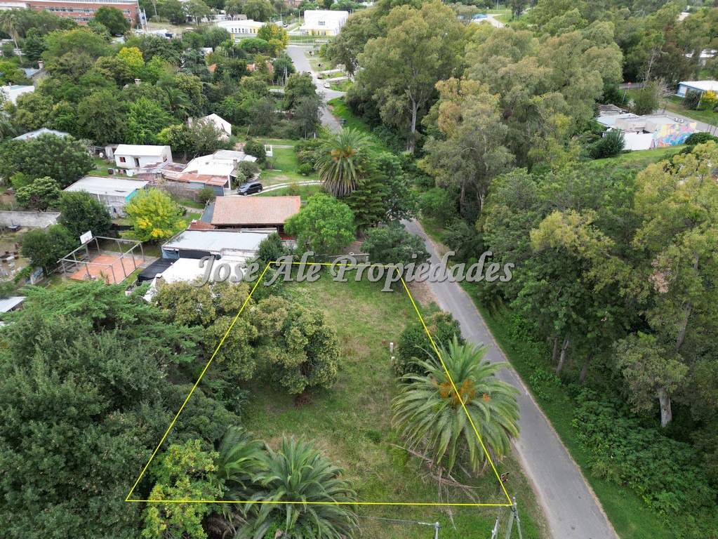 Imagen 6 de Terreno en esquina ubicado en un barrio muy tranquilo, rodeado de verdes y mucha naturaleza en Colonia del Sacramento.