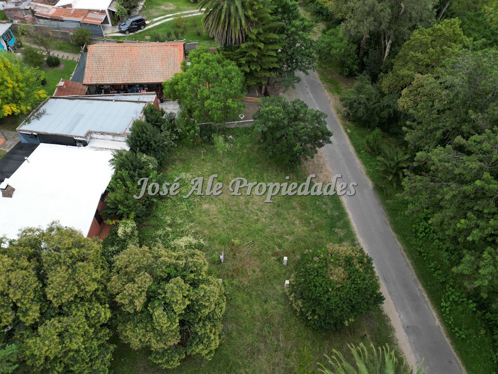 Imagen 7 de Terreno en esquina ubicado en un barrio muy tranquilo, rodeado de verdes y mucha naturaleza en Colonia del Sacramento.