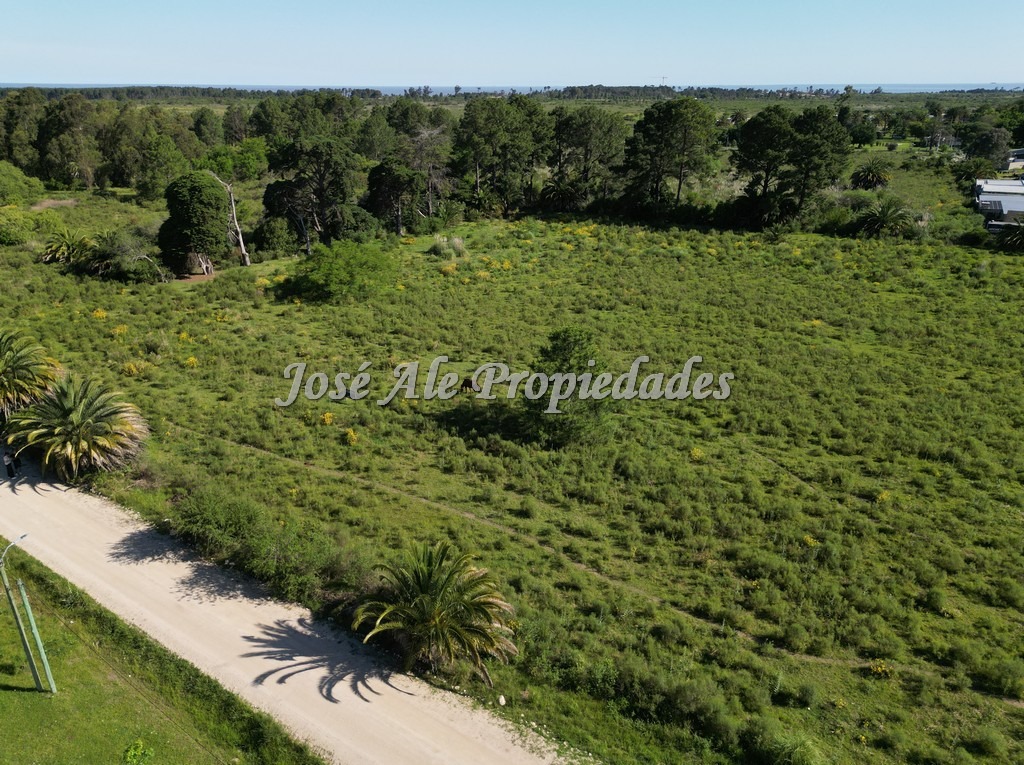 Imagen 6 de Terreno en Colonia del Sacramento.