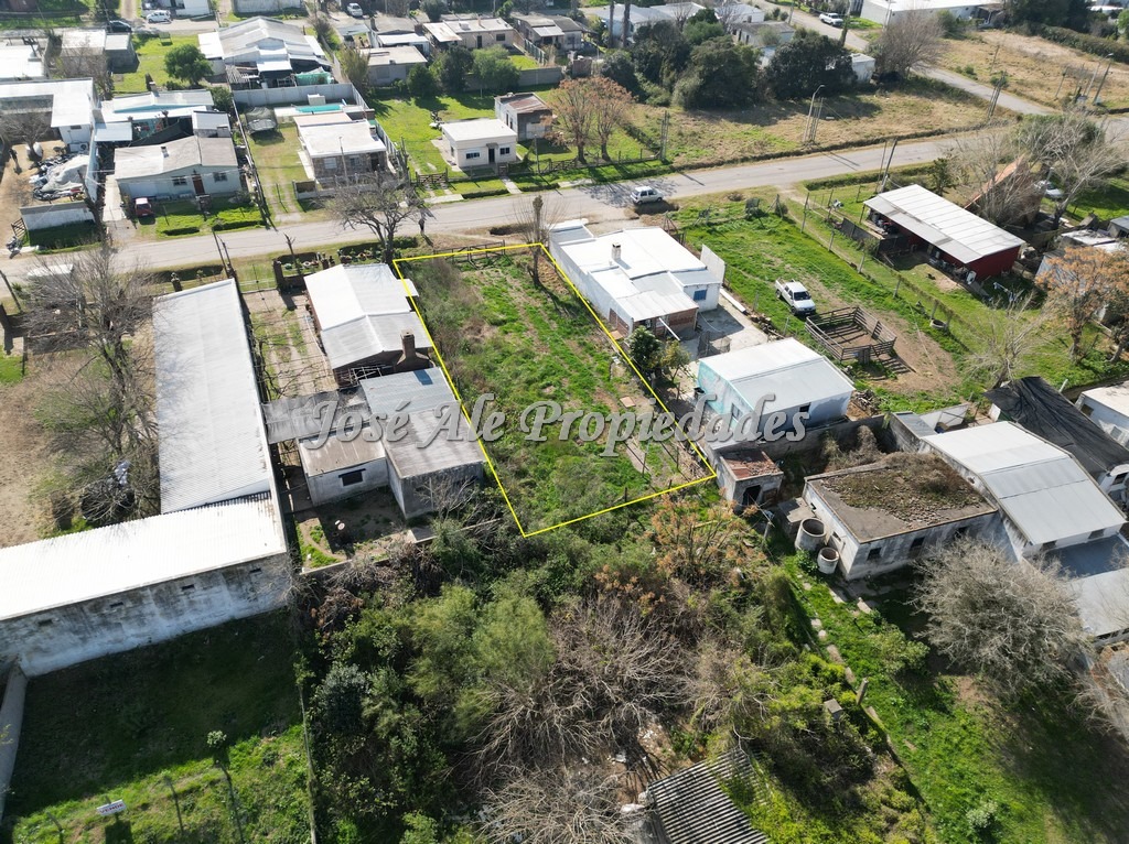 Imagen 3 de Terreno ubicado en el Real de San Carlos.