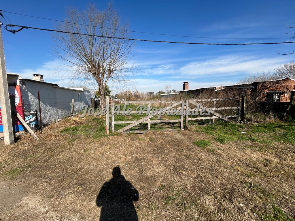 Imagen 7 de Terreno ubicado en el Real de San Carlos.