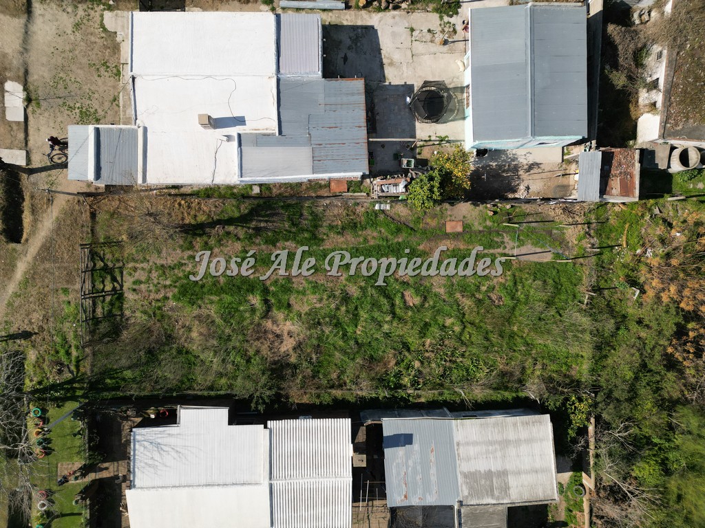 Imagen 9 de Terreno ubicado en el Real de San Carlos.